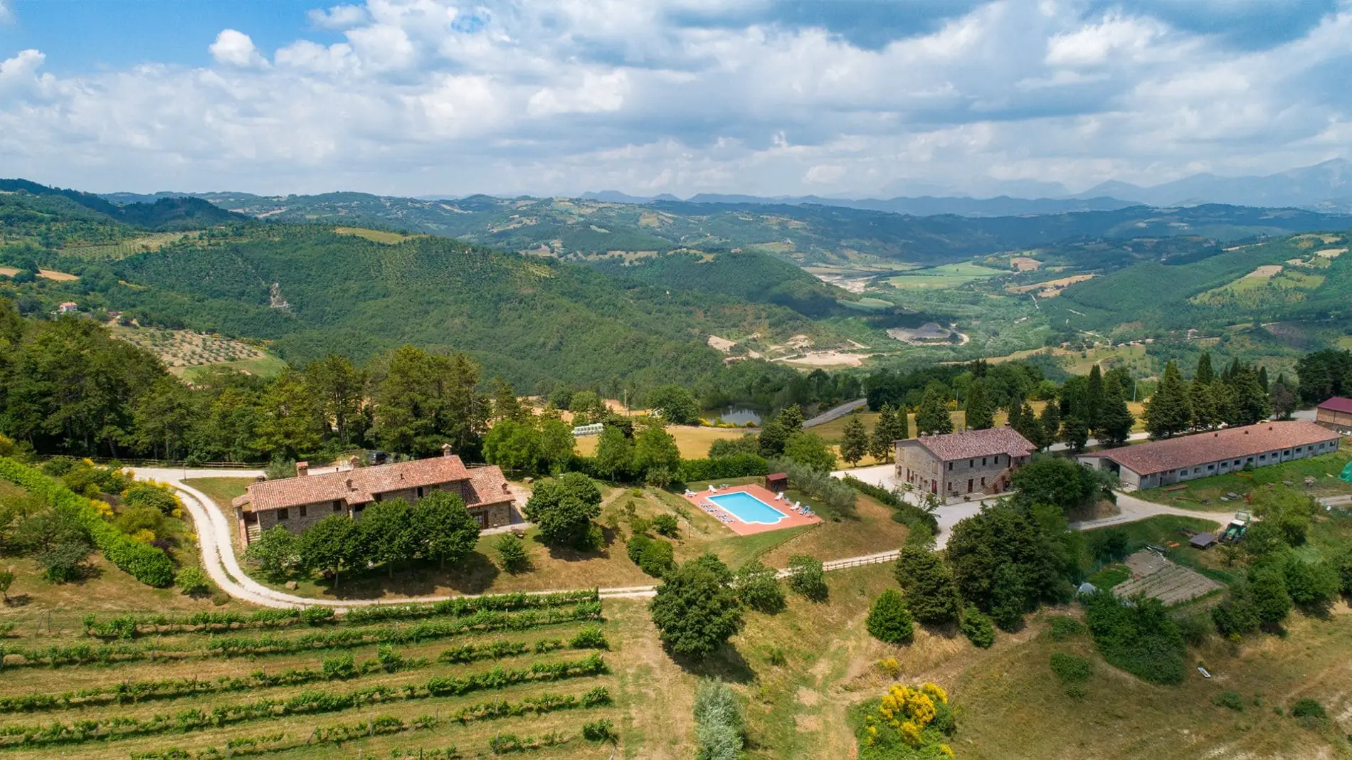 Bellugello10-1