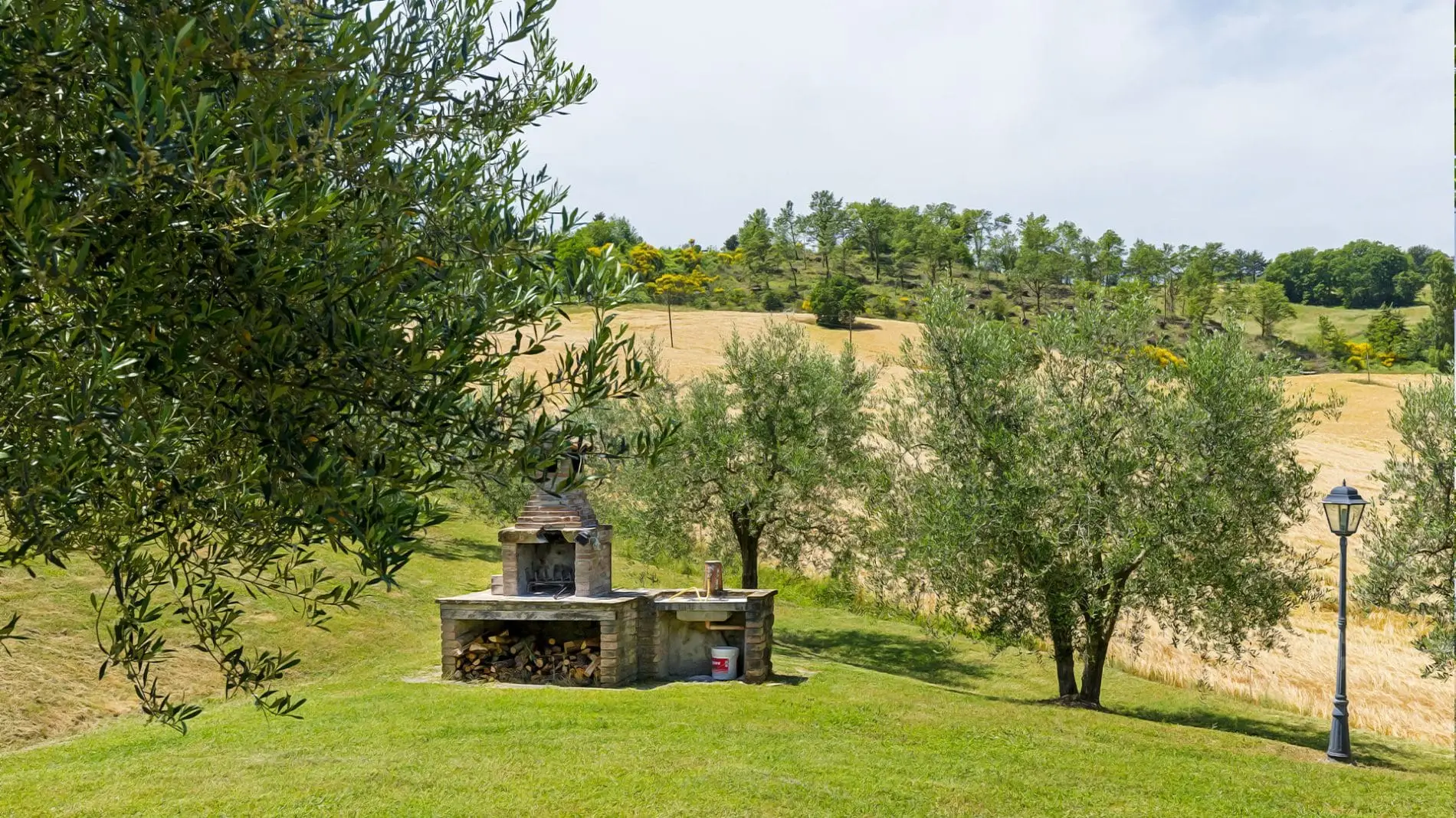 CaiNuti26-1