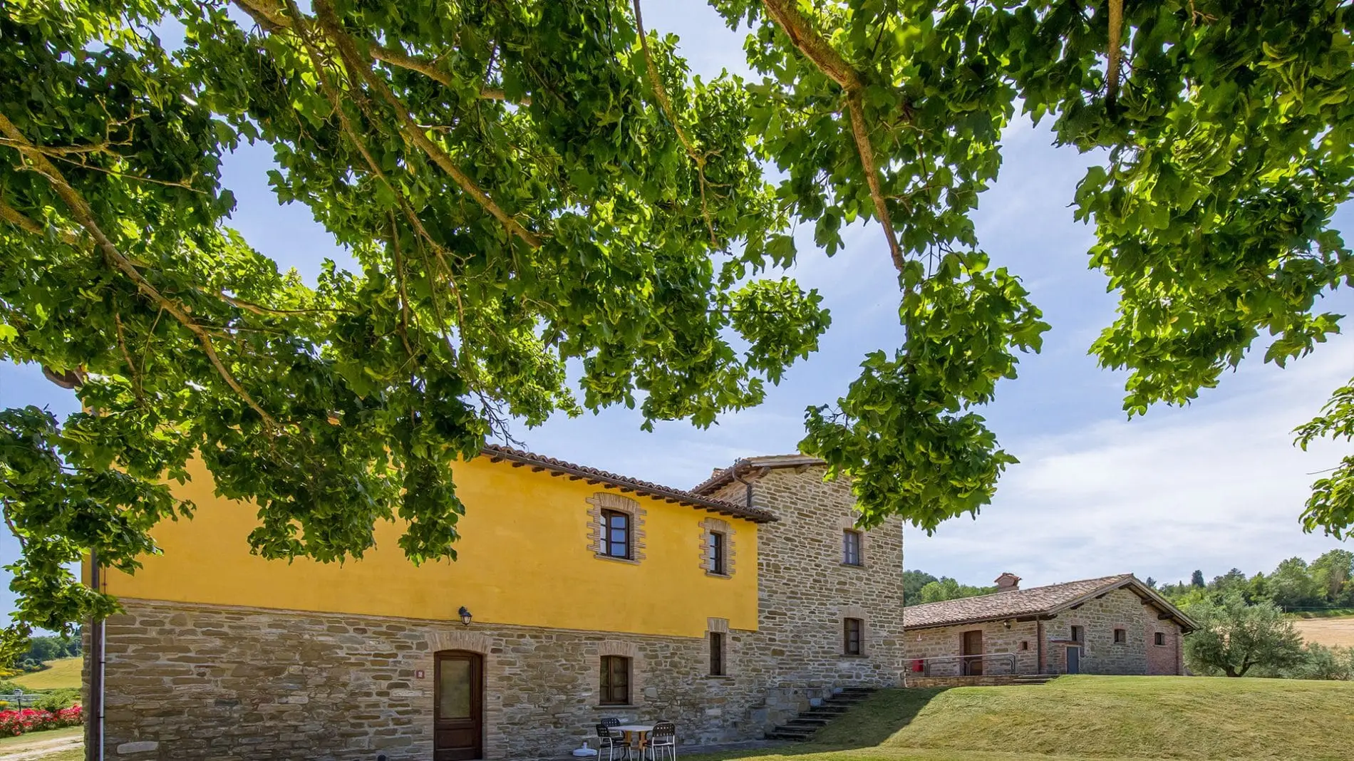 CaiNuti27-1