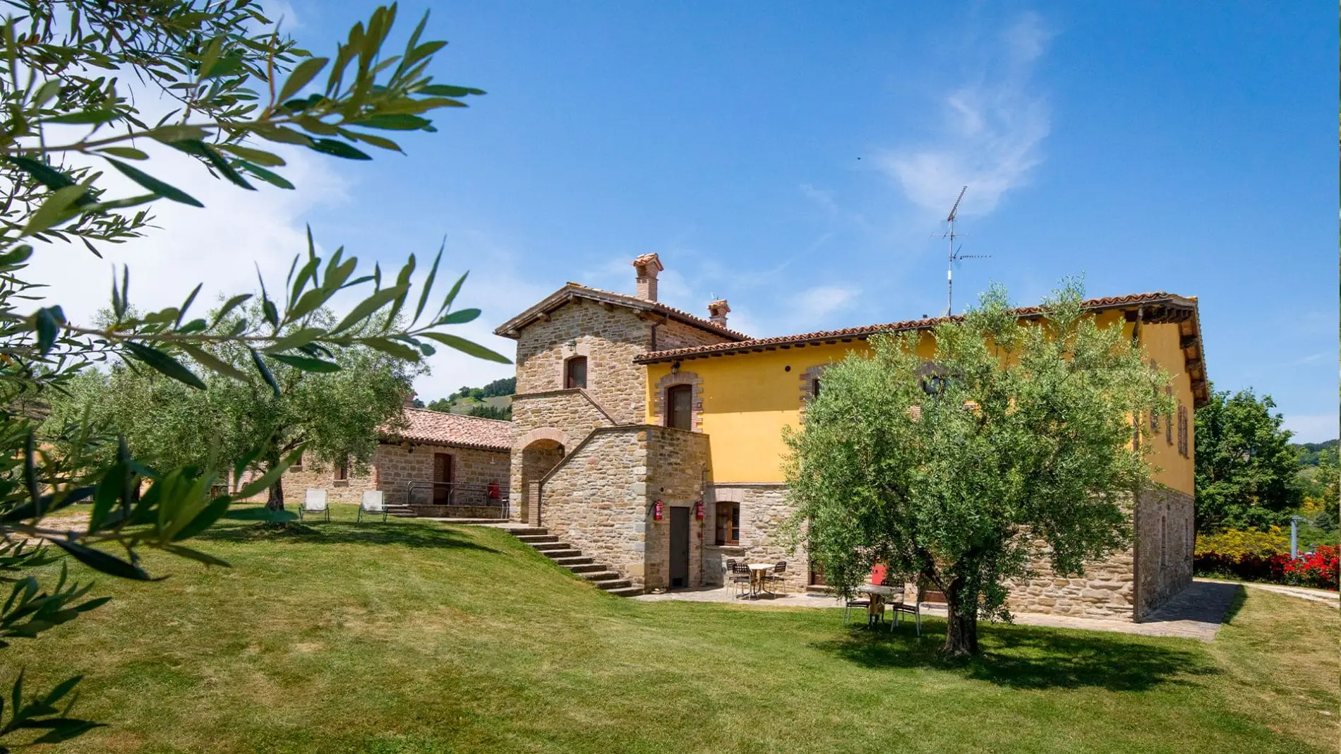 CaiNuti28-1
