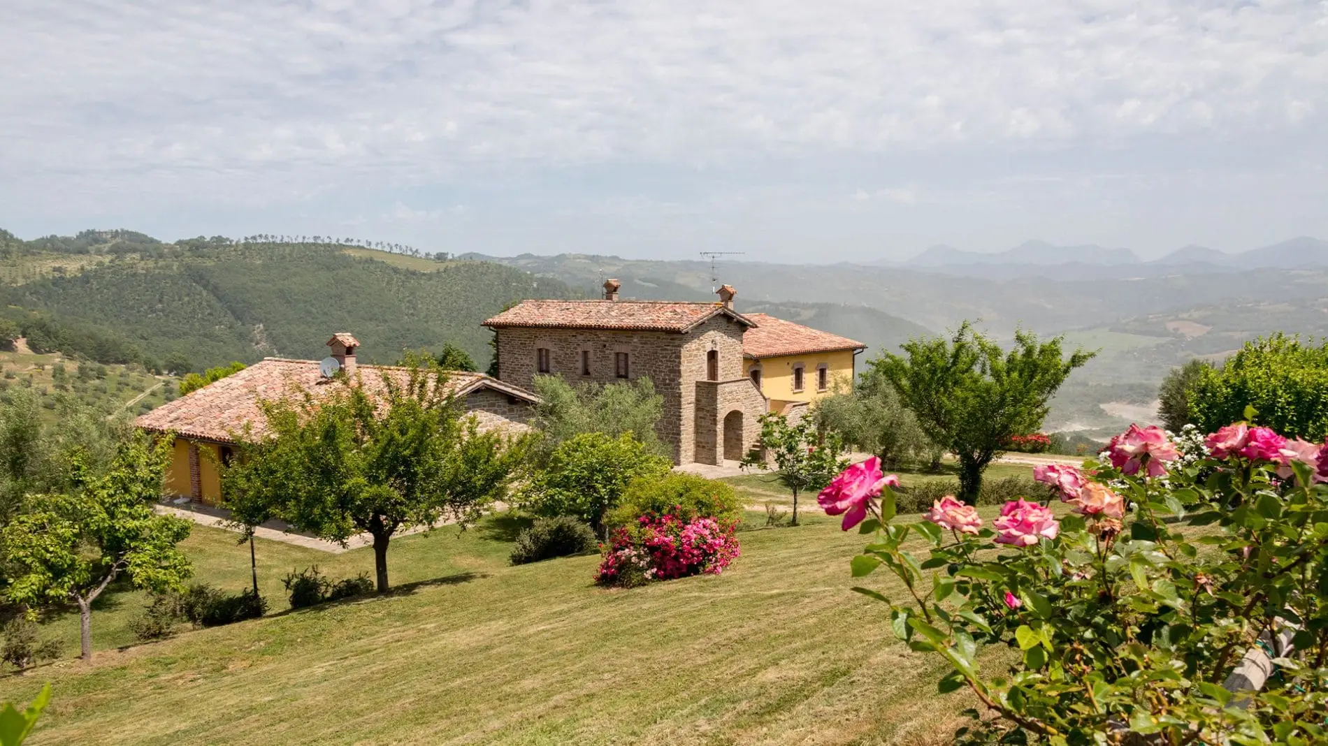 CaiNuti33-1