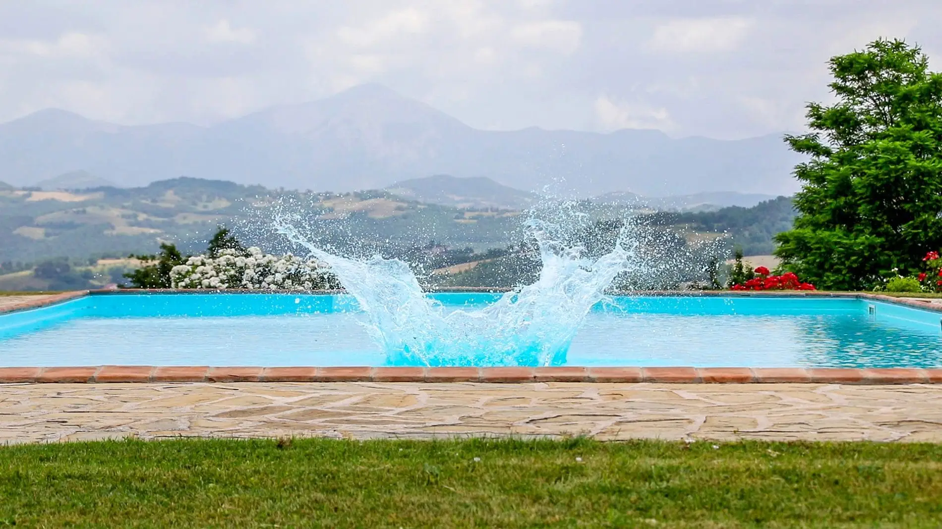 CaiNuti5-1