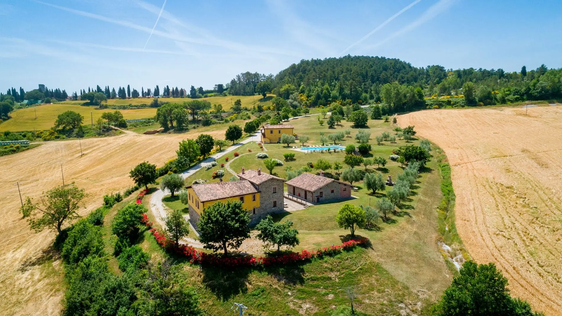 CaiNuti54-1